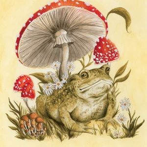 Meet your Posher, Bethannie